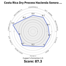 Load image into Gallery viewer, Costa Rica 🇨🇷 - Hacienda Sonora *Natural*