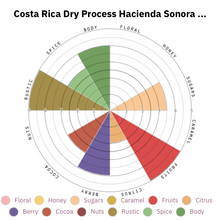 Load image into Gallery viewer, Costa Rica 🇨🇷 - Hacienda Sonora *Natural*