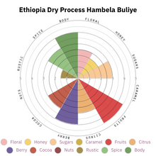 Load image into Gallery viewer, Ethiopia 🇪🇹   Hambela Buliye Natural

