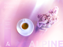 Load image into Gallery viewer, Ethiopia-  Banko Gotiti Natural / Single Origin
